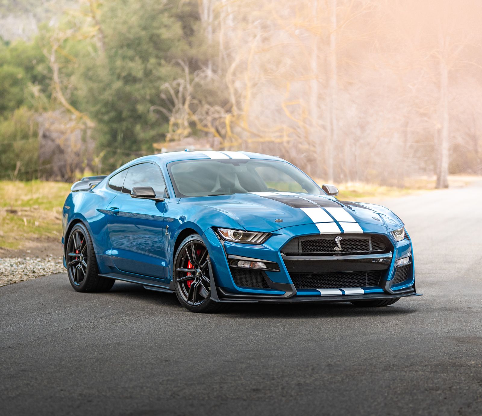 Blue Ford Mustang Shelby GT500 with white racing stripes