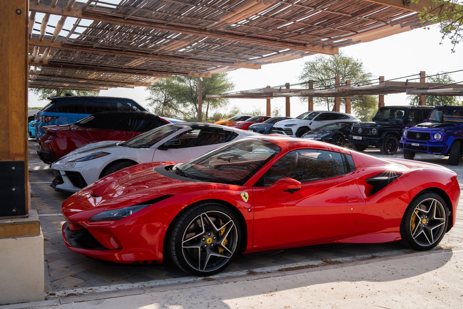 Collection of high-end sports cars parked under bamboo shelter
