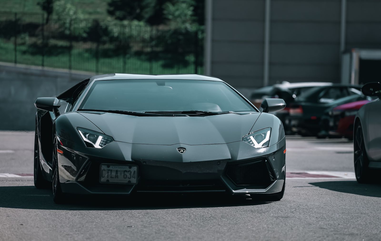 Yellow Lamborghini Aventador parked on a palm-lined Tampa street